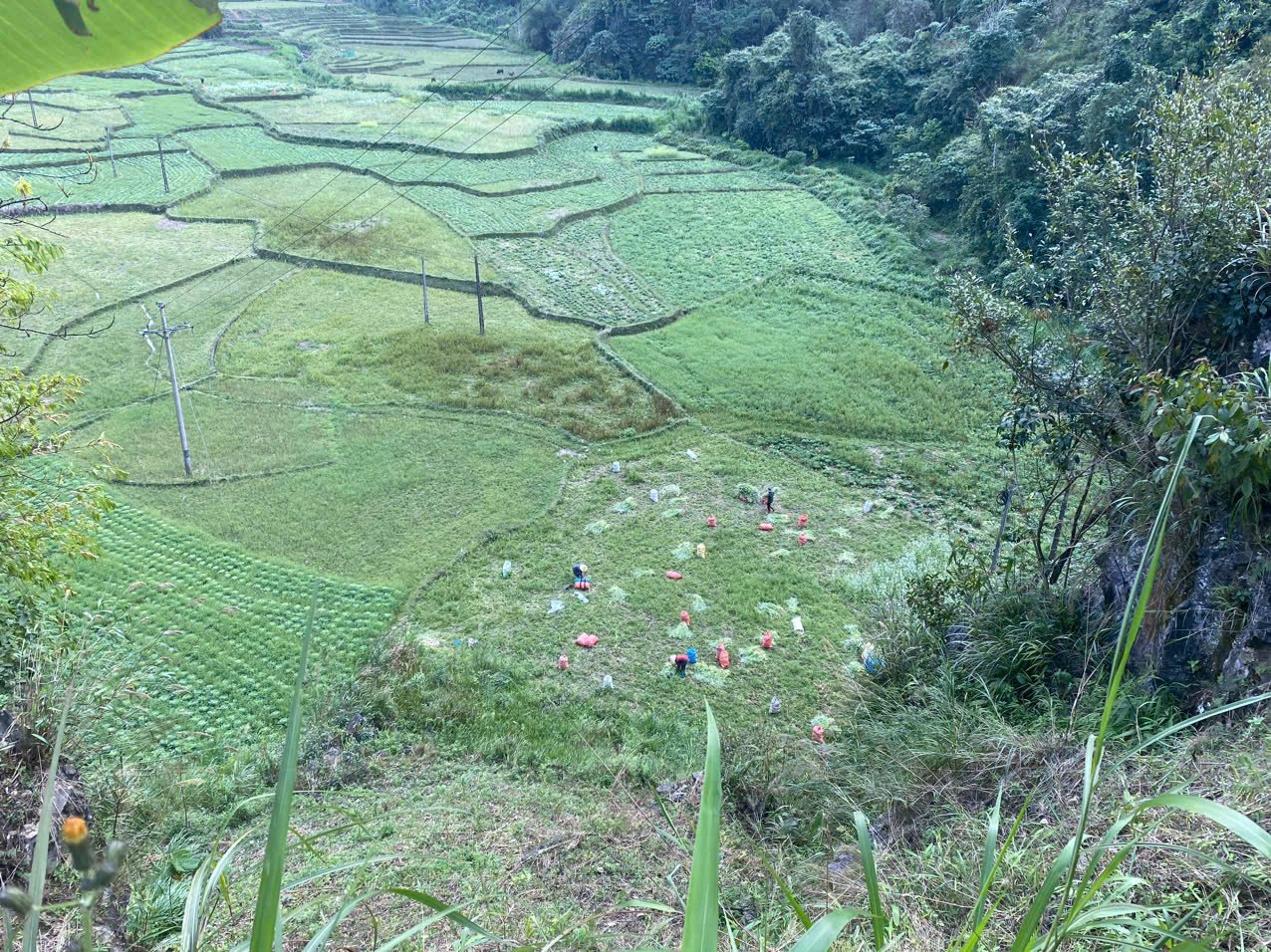 8-Day Northeast Vietnam Bike Adventure